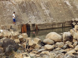 Saat Air Katulampa Surut Drastis