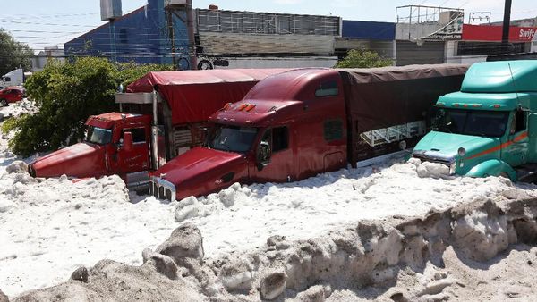 Potret Langka Meksiko Diterjang Badai Salju