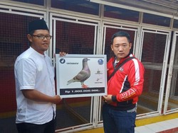 PMTI Pastikan Transaksi Merpati Rp 1 Miliar Bukan Setting-an