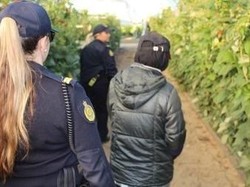 Belasan Pekerja Gelap dan Calo Pekerja Asing Ditangkap di Australia