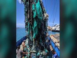 Parah! 40 Ton Sampah Plastik Diangkat dari Samudra Pasifik