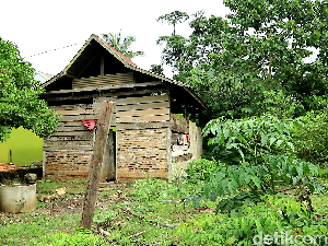 Tinggal di Gubuk Reyot, Nenek di Bone Sulsel Hidup Memprihatinkan