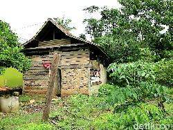 Tinggal di Gubuk Reyot, Nenek di Bone Sulsel Hidup Memprihatinkan