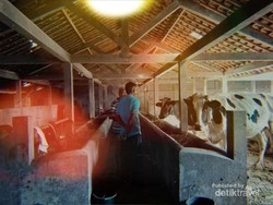 Boyolali Si Kota Susu