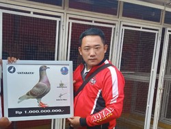Ini Alasan Robby Berani Tebus Seekor Merpati Jayabaya Seharga Rp 1 M
