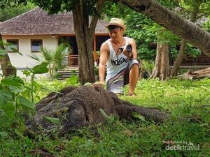 Melihat Si Naga Purba Lebih Dekat