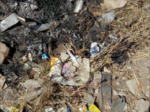 Bangkit Pascagempa dengan Puskesmas Hijau