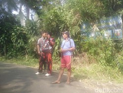 Satu Korban Amukan Babi Hutan di Banyumas Meninggal