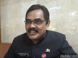 Sempat Anjlok, Kini Harga Ayam di Peternak Mulai Naik