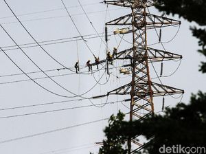 Pohon di Sekitar Jaringan Listrik Ditebang, Pemilik Bisa Minta Ganti Rugi Pohon di Sekitar Jaringan Listrik Ditebang, Pemilik Bisa Minta Ganti Rugi
