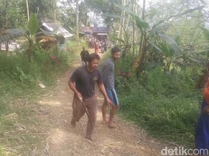 Kejar Babi Hutan Penyerang Warga Banyumas, Anjing Pemburu Dikerahkan