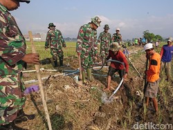 Petani dan TNI di Tulungagung Terjun ke Sawah Basmi Tikus