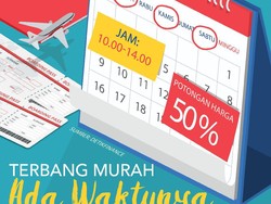Pemerintah Putar Otak Agar Tiket Pesawat Bisa Murah Tiap Hari