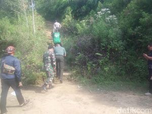 Babi Hutan Serang Warga di Banyumas, 4 Orang Dilarikan ke Rumah Sakit Babi Hutan Serang Warga di Banyumas, 4 Orang Dilarikan ke Rumah Sakit