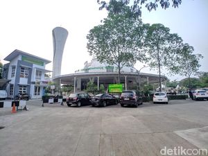 Sikap MUI dan Takmir soal Update Kasus Anjing Masuk Masjid