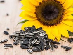 Selain Chia Seed, Biji-bijian Ini Bisa Bantu Turunkan Berat Badan