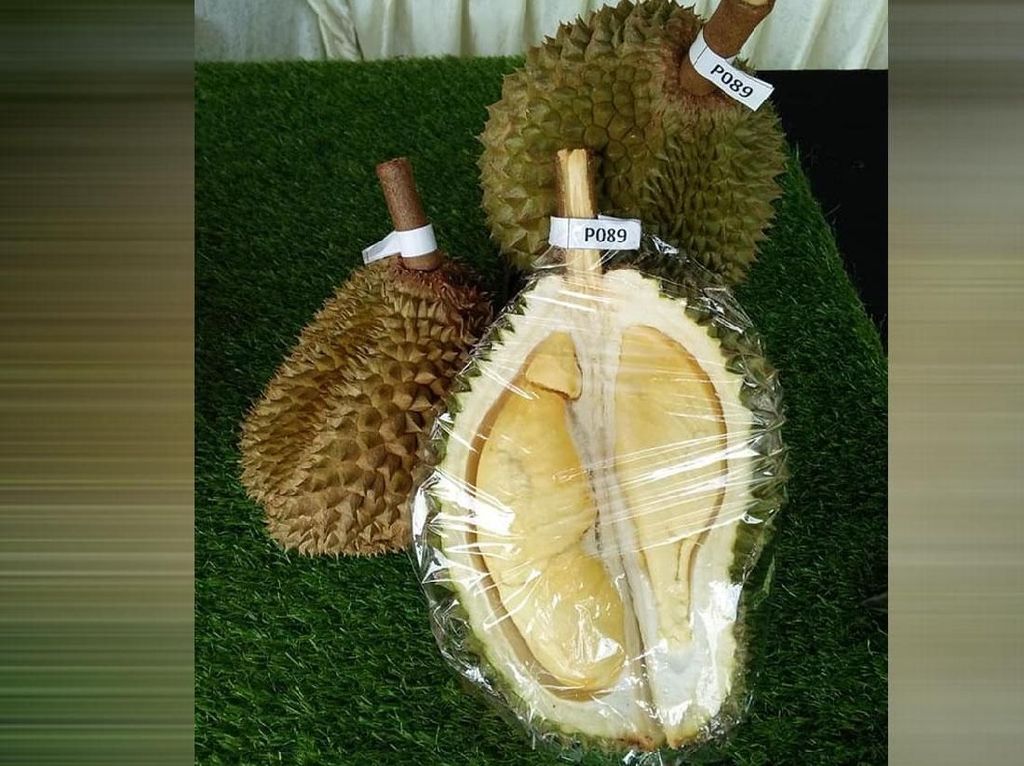 Johor Punya Durian Premium Baru, Rasanya Disebut Lebih Enak dari Musang King!