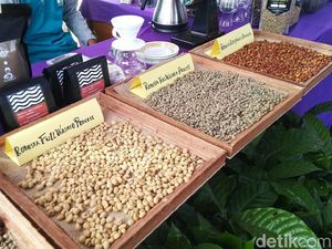Festival Kopi Ciamis Kenalkan Kopi Khas dari Setiap Kecamatan Festival Kopi Ciamis Kenalkan Kopi Khas dari Setiap Kecamatan