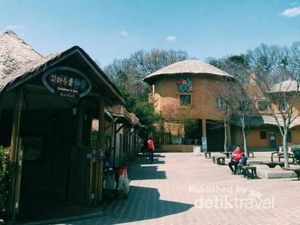 Taman Rekreasi Gratis di Korea Selatan