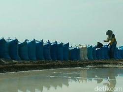 Harga Garam di Cirebon Anjlok Jadi Rp 300/Kilogram
