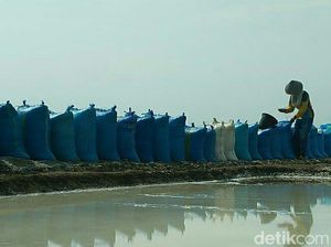 Harga Garam di Cirebon Anjlok Jadi Rp 300/Kilogram Harga Garam di Cirebon Anjlok Jadi Rp 300/Kilogram