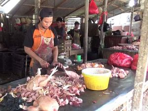 Harga Daging Ayam di Parepare Anjlok Jadi Rp 15.000 per Kg
