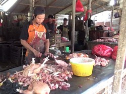 Harga Daging Ayam di Parepare Anjlok Jadi Rp 15.000 per Kg