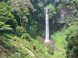 Siap-siap Liburan, Ini Rekomendasi Tempat Wisata Asyik Bulan Juli
