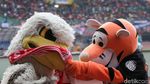 Macan dan Elang di Laga Persija Vs PSS Sleman