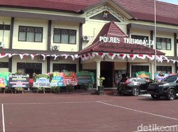 Oknum Polisi yang Jadi Beking Pembalakan Sonokeling Ditahan