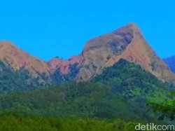 Pelajar yang Hilang di Bukit Piramid Diterkam Macan?