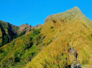 Warga Beberkan Mistis di Bukit Piramid Tempat Seorang Pelajar yang Hilang Warga Beberkan Mistis di Bukit Piramid Tempat Seorang Pelajar yang Hilang
