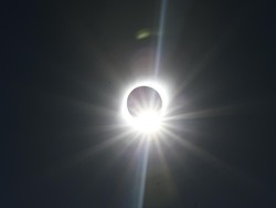 Fakta-fakta Menarik Gerhana Matahari Cincin 26 Desember