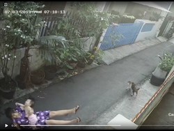 Bayi yang Digendong Ibu Korban Penjambretan di Jakbar Terbentur Aspal