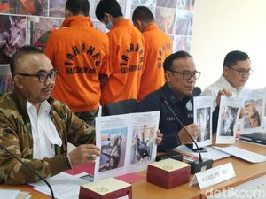 Polri Tangkap Penjual Kanguru hingga Beruang Madu Via Online