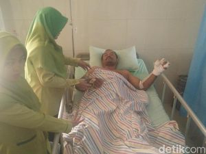 Deretan Kasus Ngerinya Serangan Babi Hutan di Jawa Tengah Deretan Kasus Ngerinya Serangan Babi Hutan di Jawa Tengah