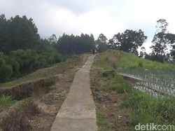 Warga Pemalang Pilih Merantau Saat Musim Kemarau Tiba