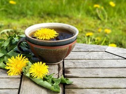 Kopi Dandelion Bisa Pasok Energi Tanpa Asupan Kafein