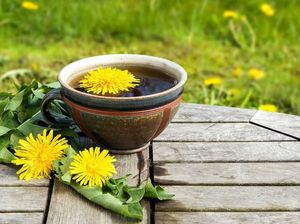 Kopi Dandelion Bisa Pasok Energi Tanpa Asupan Kafein Kopi Dandelion Bisa Pasok Energi Tanpa Asupan Kafein