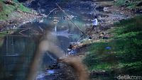 Musim Kemarau Anak Sungai Citarum Menyusut