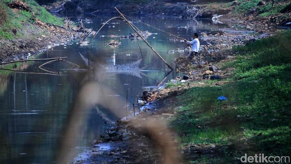 Musim Kemarau Anak Sungai Citarum Menyusut