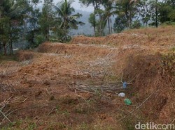 Kekeringan, 244 Hektare Padi di Banjarnegara Puso