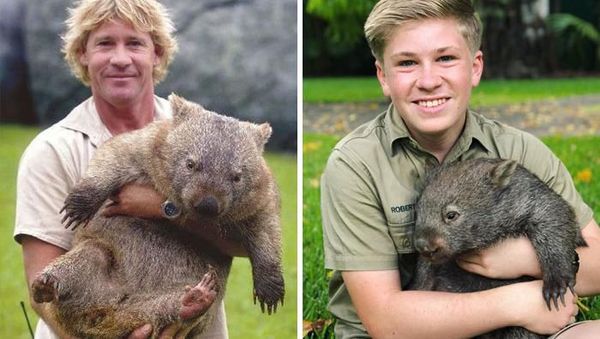 Masih Ingat Steve Irwin? Kecintaan Pada Hewan Turun ke Sang Anak