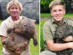 Masih Ingat Steve Irwin? Kecintaan Pada Hewan Turun ke Sang Anak