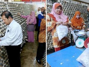 Keren! Kantin Tua Ini Disulap Jadi Kebun Jamur dengan Laba Rp 51 Juta