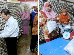Keren! Kantin Tua Ini Disulap Jadi Kebun Jamur dengan Laba Rp 51 Juta