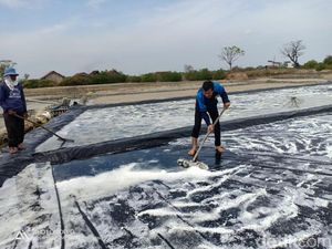 Petani Diminta Tak Asal-asalan Produksi Garam Petani Diminta Tak Asal-asalan Produksi Garam