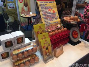 Jualan Telur Ayam Bisa Dapat Omzet Puluhan Juta Tiap Bulan