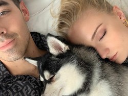 Joe Jonas dan Sophie Turner Kunjungi Terapis Setelah Kematian Anjingnya