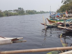 Pemkab Serang Akui Izinkan Industri Buang Limbah hingga Ciujung Tercemar